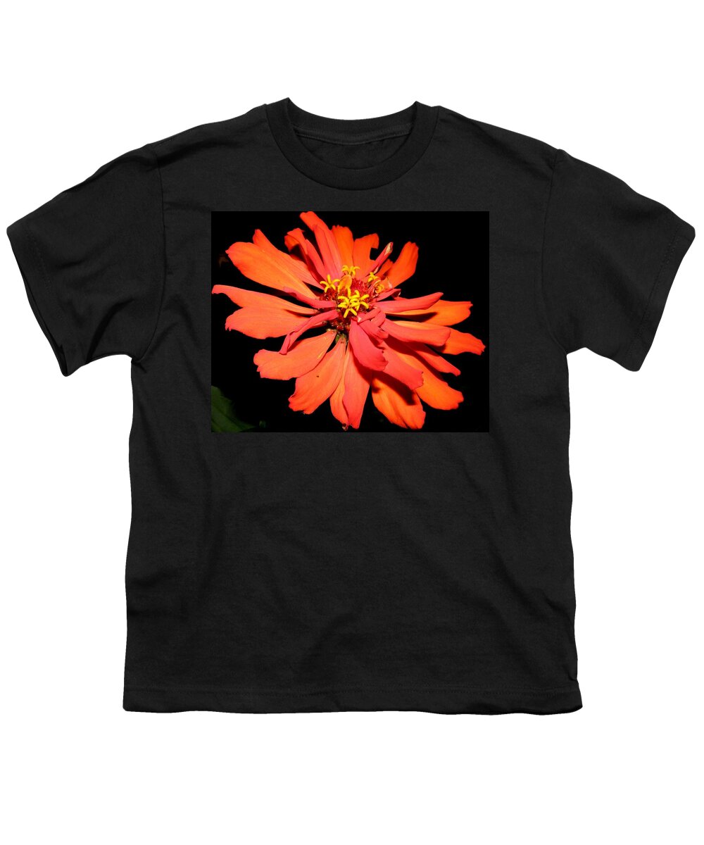 Zinnia Youth T-Shirt featuring the photograph Fiery Explosion Of Colors by Kim Galluzzo Wozniak