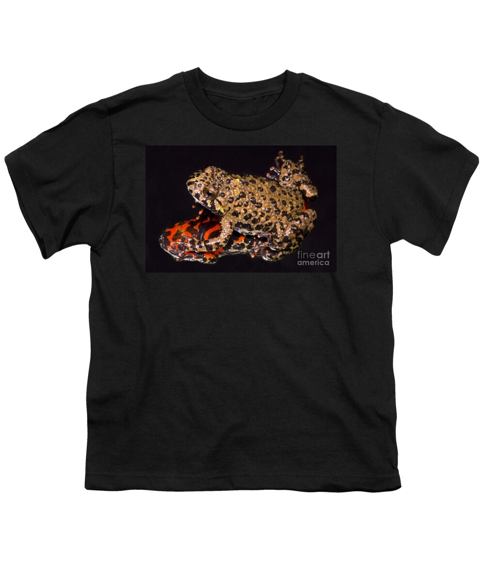 Aposematic Youth T-Shirt featuring the photograph Fire Belly Toad by Dante Fenolio