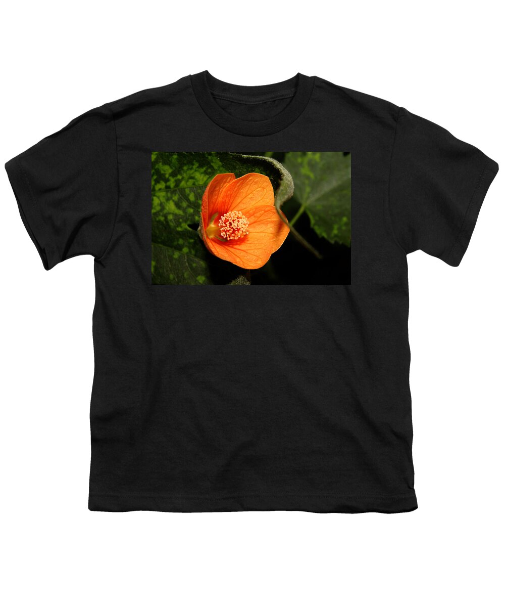 Nature Youth T-Shirt featuring the photograph Flowering Maple Singe Flower by Robert Morin