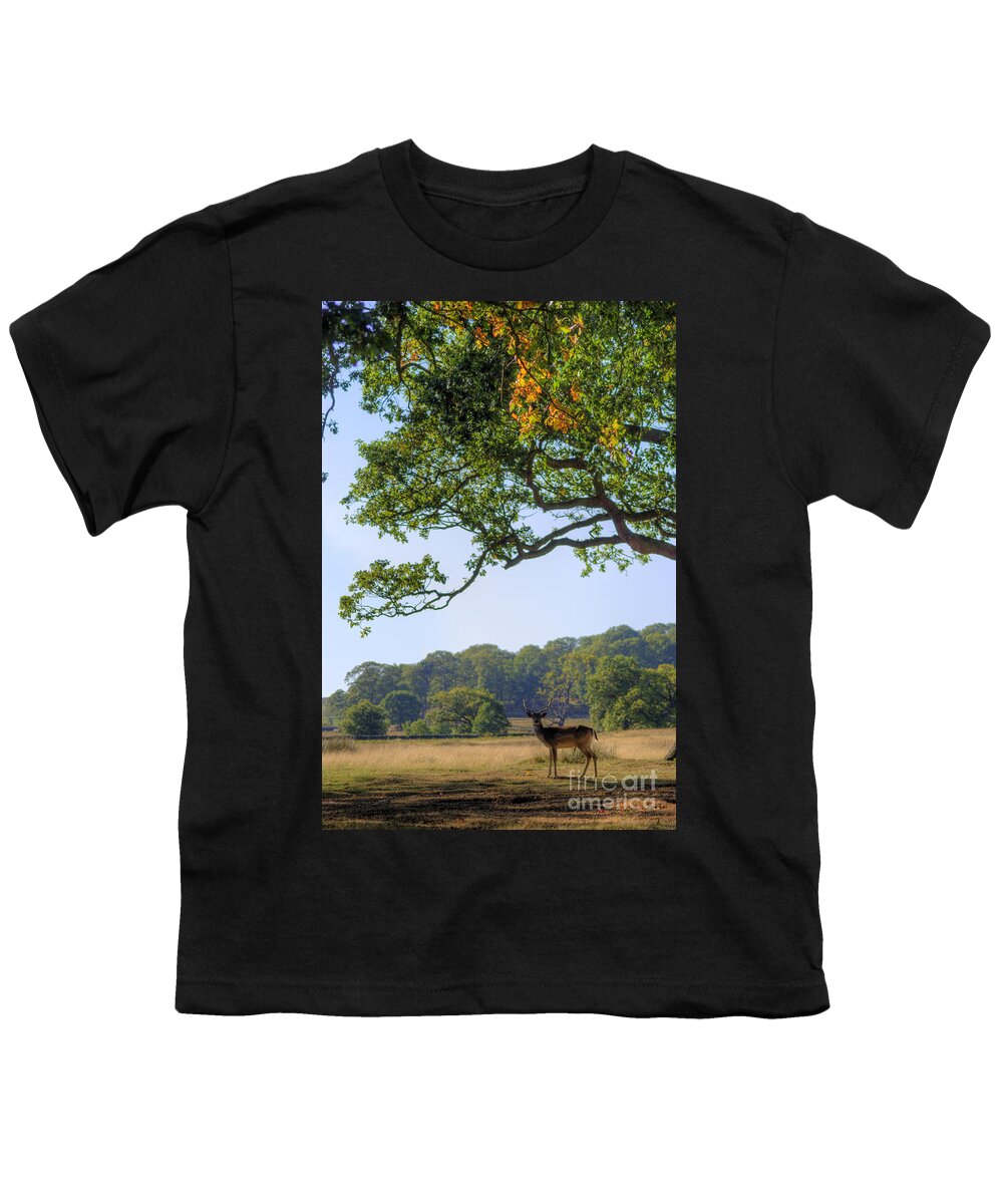 Fallow Deer Youth T-Shirt featuring the photograph From A Distance by Yhun Suarez