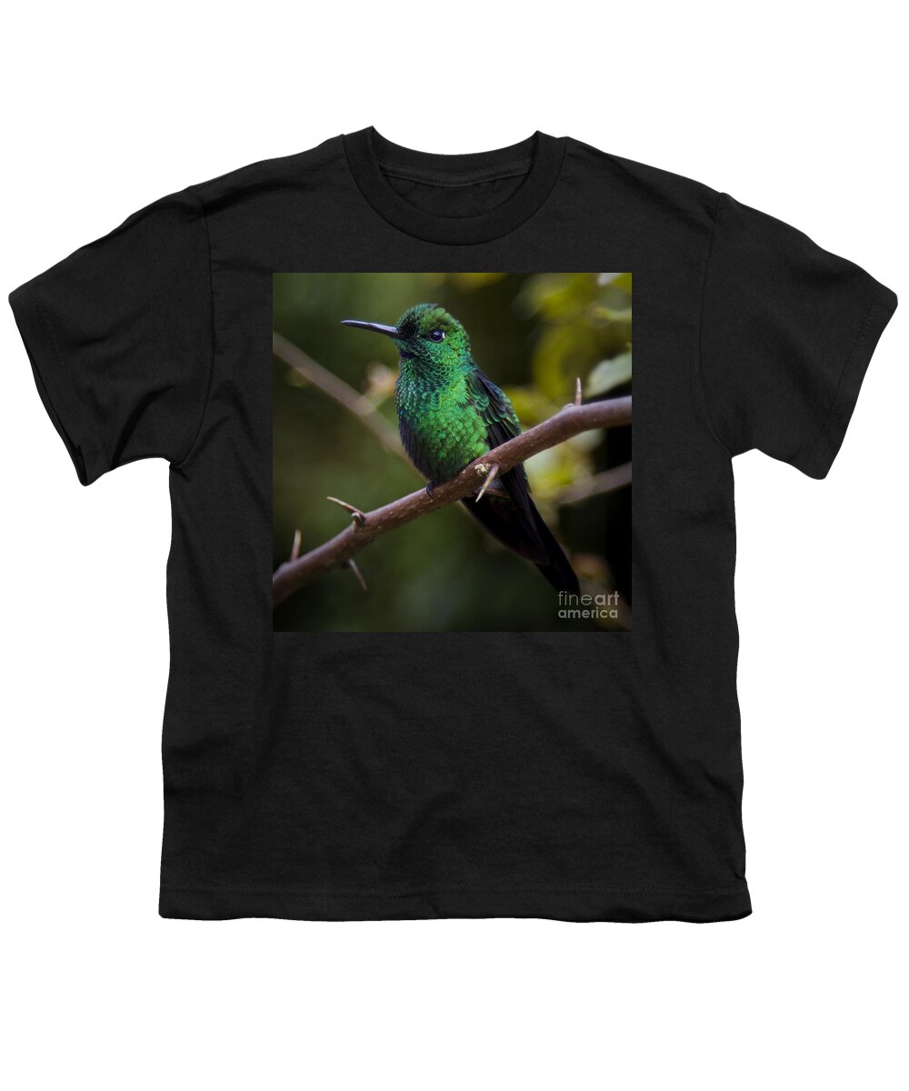 Bird Youth T-Shirt featuring the photograph Green Hummingbird by Carrie Cranwill