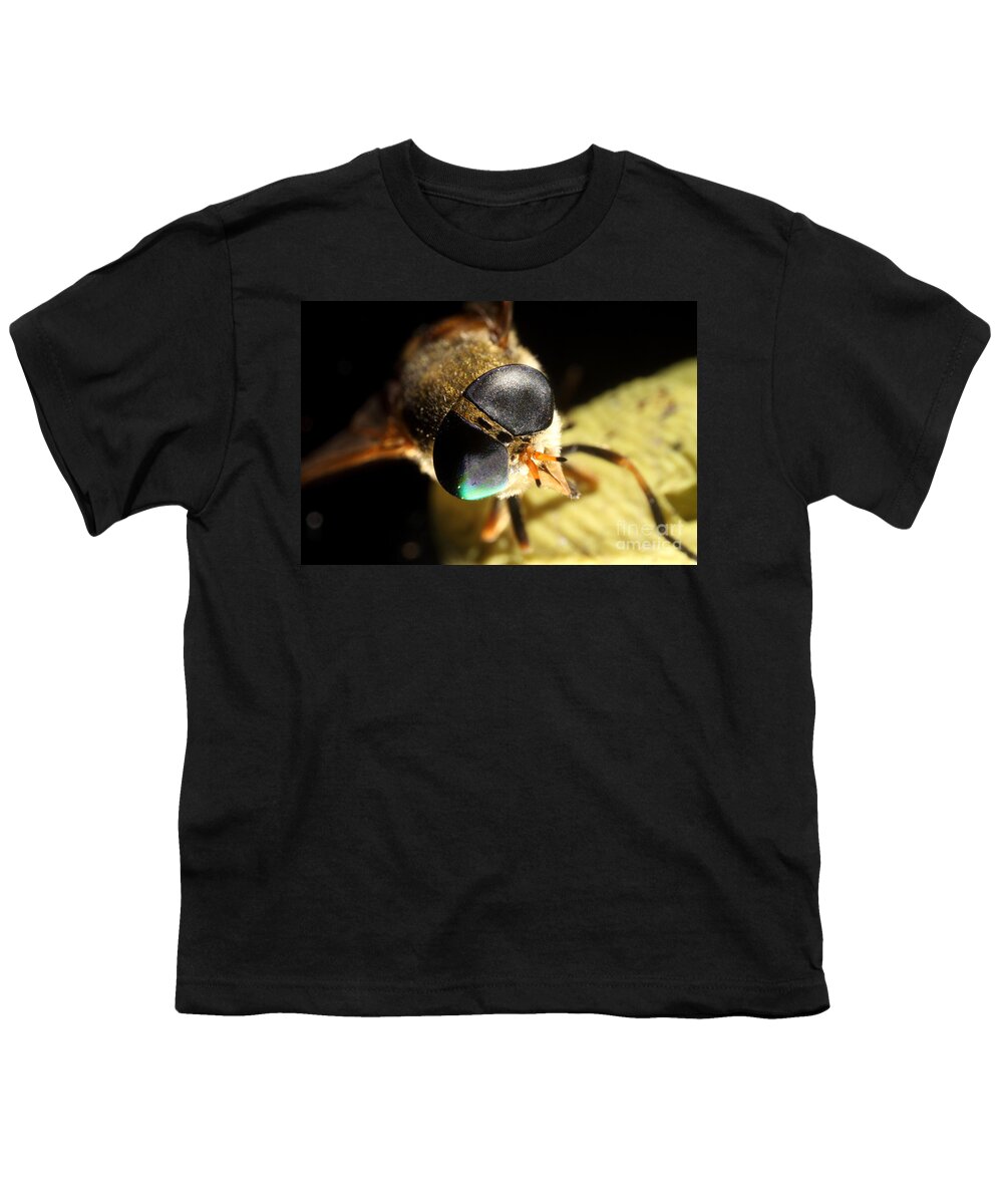 Horse Fly Youth T-Shirt featuring the photograph Horse Fly by Ted Kinsman