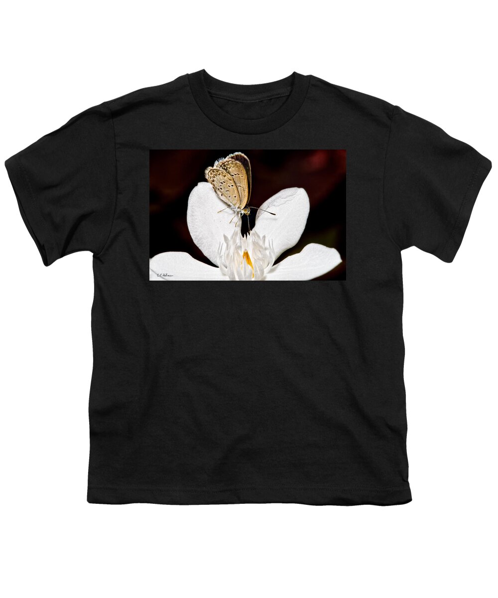 Butterfly Youth T-Shirt featuring the photograph Looking for a Snack by Christopher Holmes