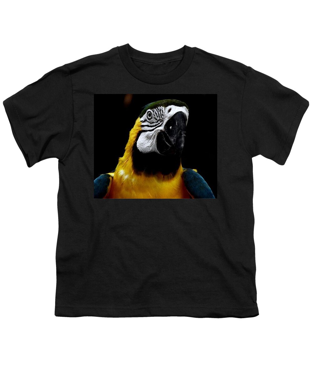 Parrot Youth T-Shirt featuring the photograph Mr Polly by Kim Galluzzo