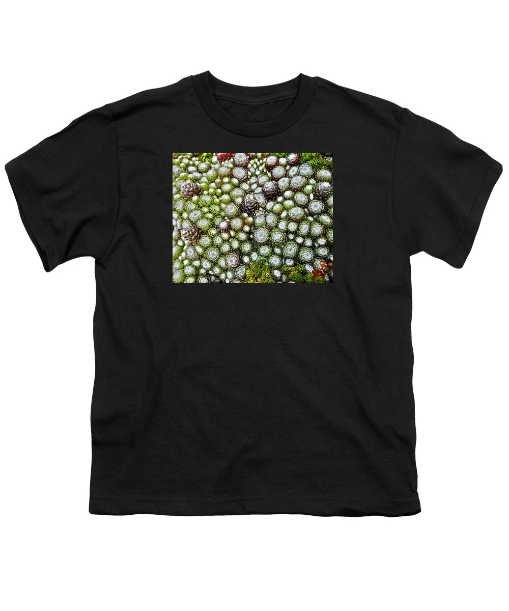 Garten Youth T-Shirt featuring the photograph My Rockery ... by Juergen Weiss
