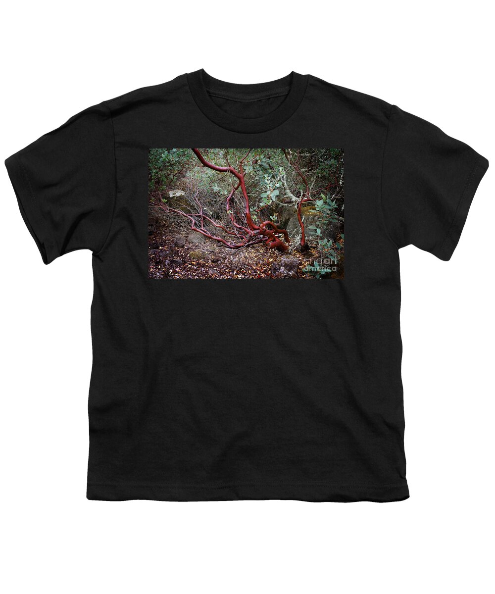 Manzanita Youth T-Shirt featuring the photograph Mysterious Manzanita by Laura Iverson