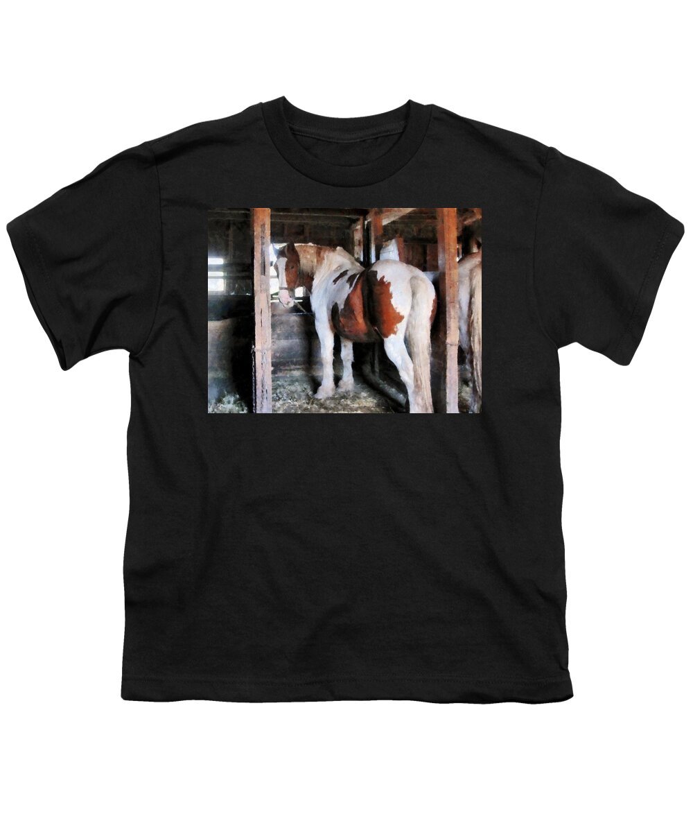 Horse Youth T-Shirt featuring the photograph Pinto Looking Back by Susan Savad