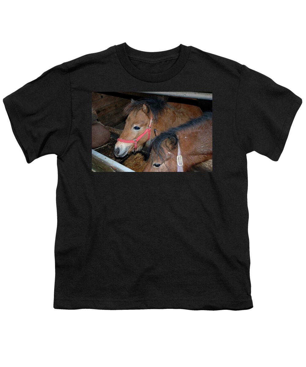 Usa Youth T-Shirt featuring the photograph Pony Snack by LeeAnn McLaneGoetz McLaneGoetzStudioLLCcom