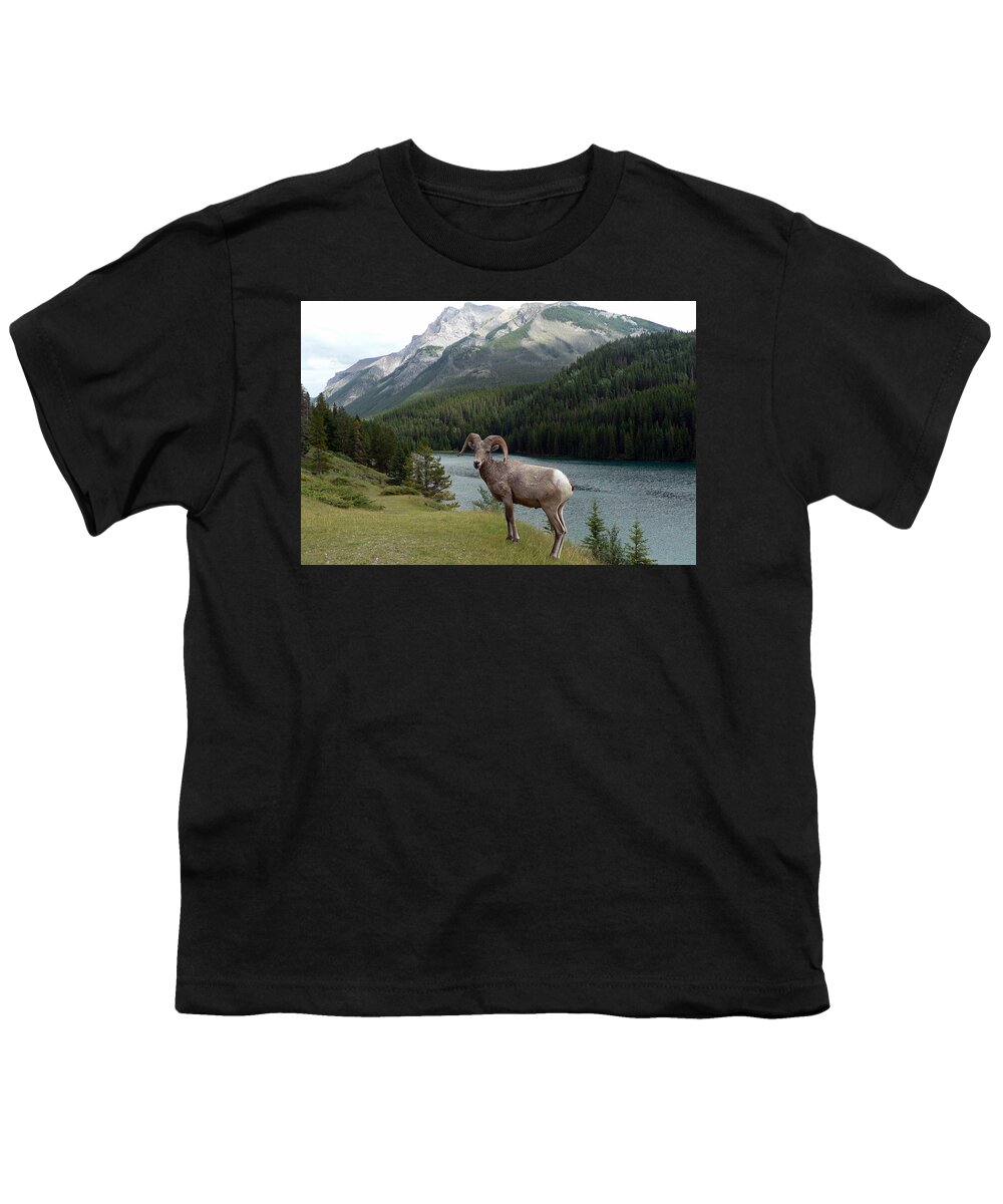 Portrait Youth T-Shirt featuring the photograph Portrait of a BigHorn Sheep at Lake Minnewanka by Laurel Best