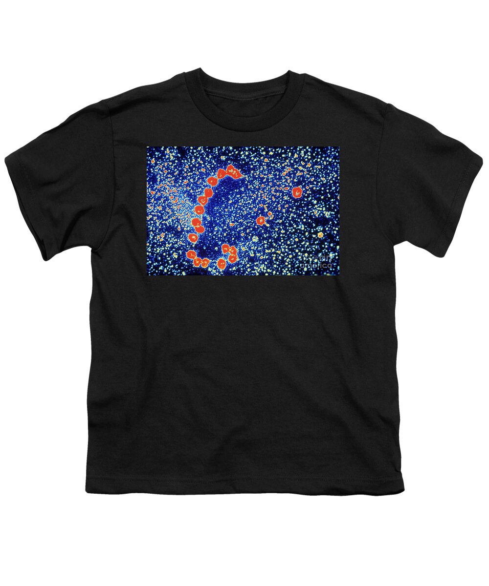 Ribosome Youth T-Shirt featuring the photograph Protein Production by Omikron