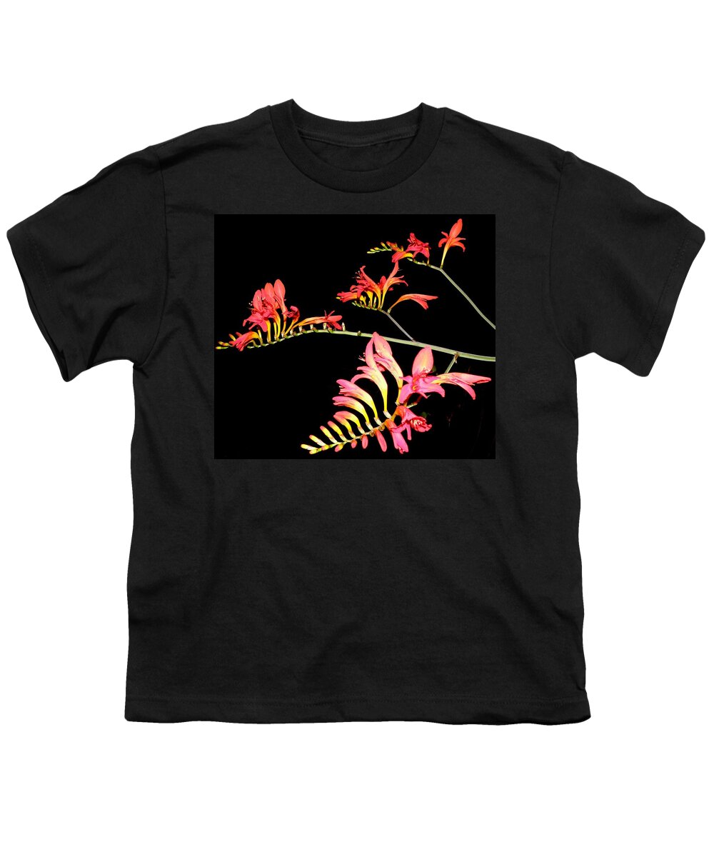 Flowers At Night Youth T-Shirt featuring the photograph Quad Burst by Kim Galluzzo