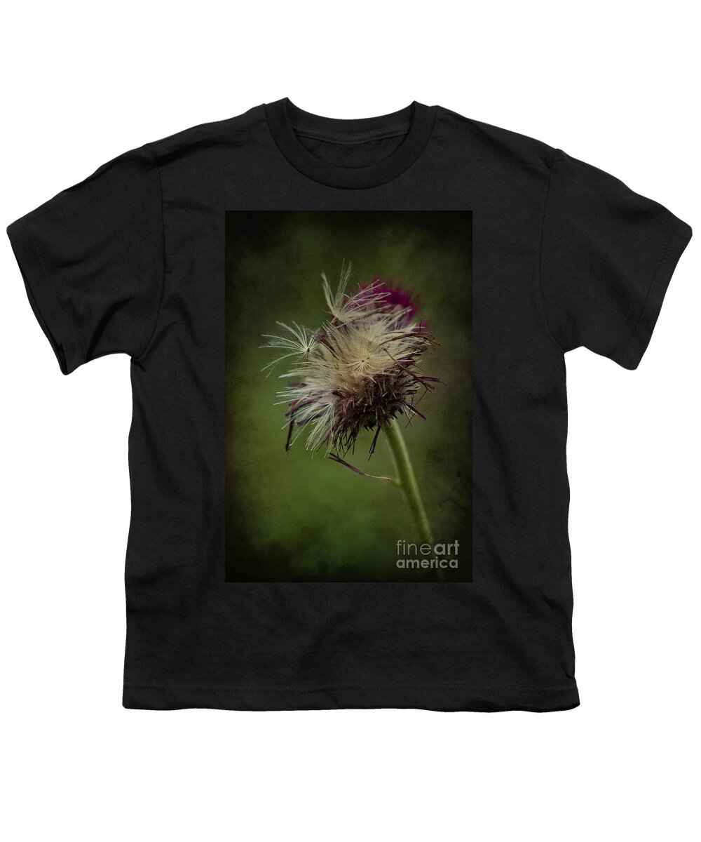 Seeds Youth T-Shirt featuring the photograph Ready to fly away... by Clare Bambers