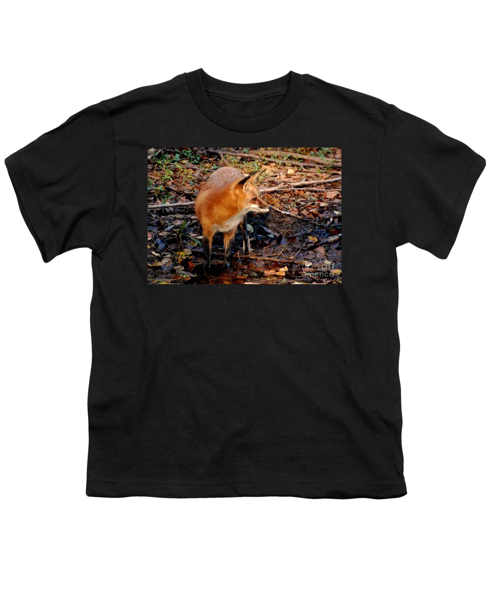 Fox Youth T-Shirt featuring the photograph Red Fox At The Rivers Edge by Kathy Baccari
