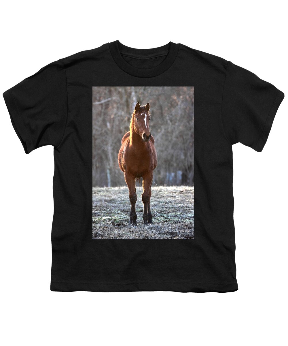  Youth T-Shirt featuring the photograph 'Riddle Me This' by PJQandFriends Photography