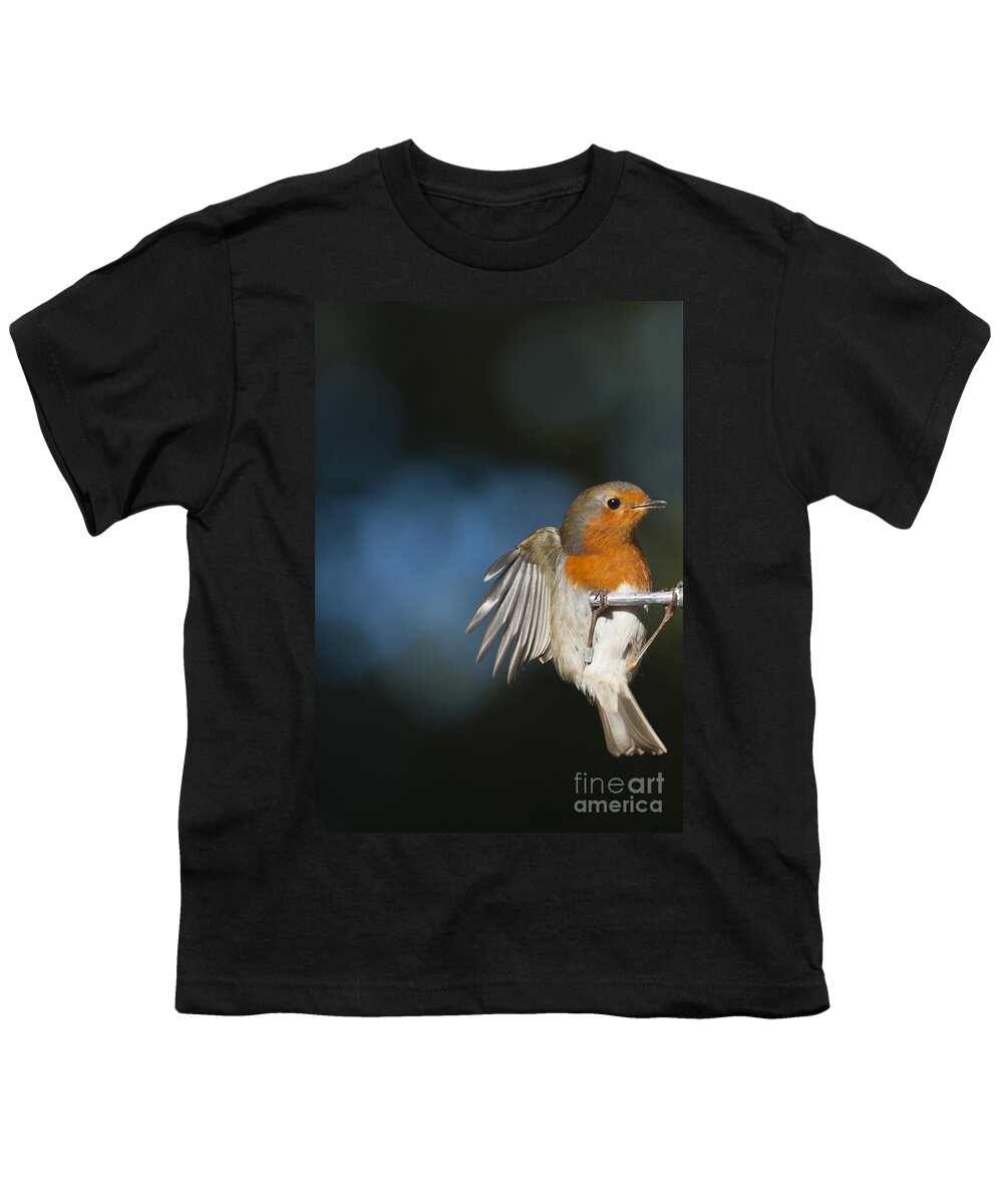 Britain Youth T-Shirt featuring the photograph Robin by Andrew Michael