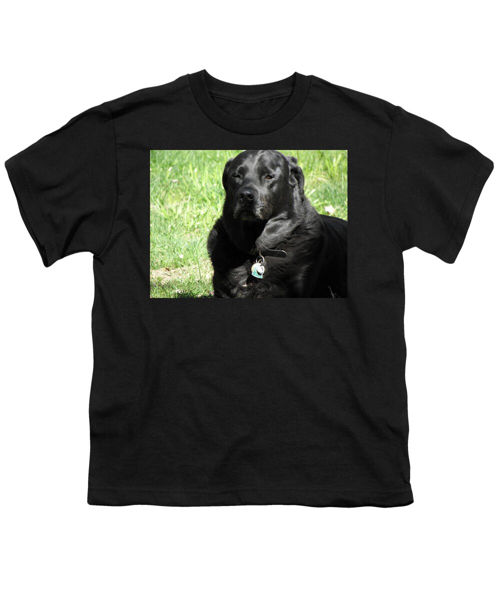 Dog Youth T-Shirt featuring the photograph Serious Stare Down by Kim Galluzzo