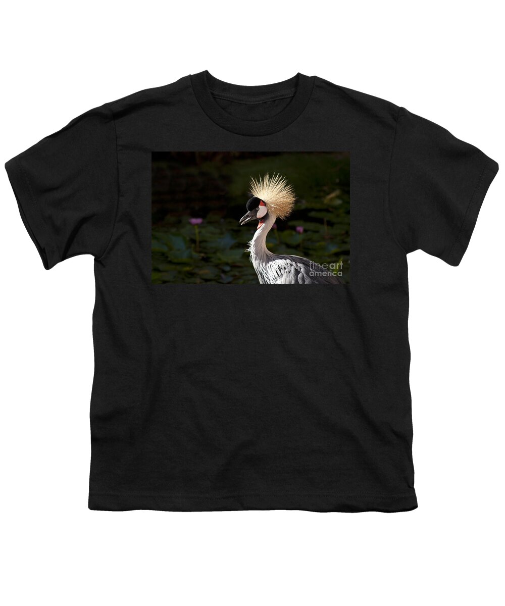 Crowned Crane Youth T-Shirt featuring the photograph South African Grey Crowned Crane by Sharon Mau