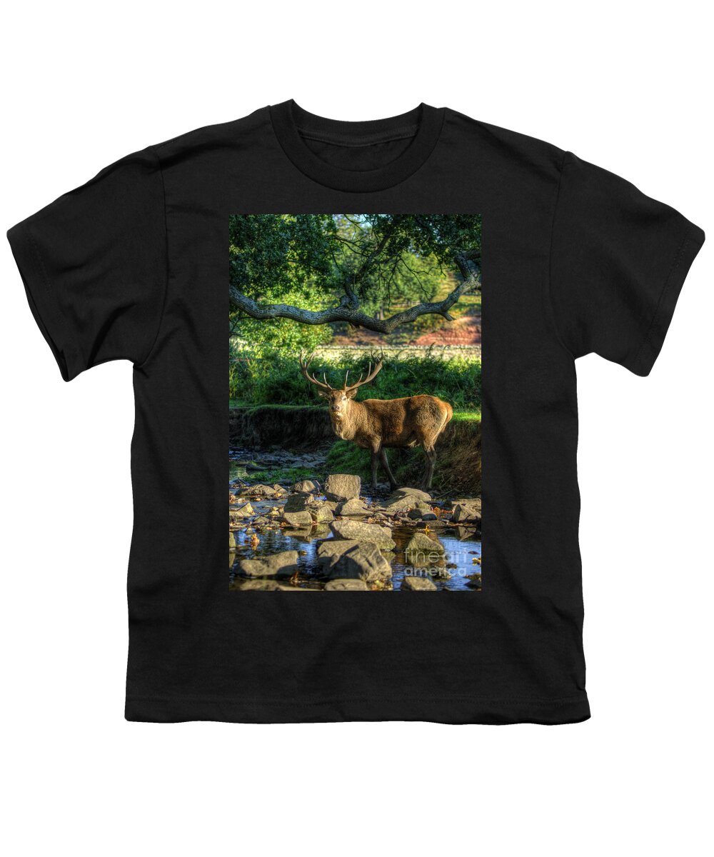 Fallow Deer Youth T-Shirt featuring the photograph Stag by Yhun Suarez