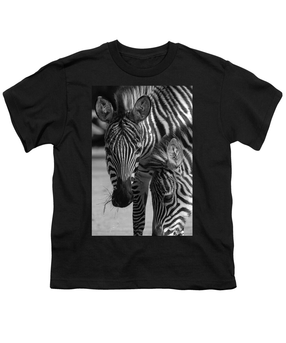 Stripes Youth T-Shirt featuring the photograph Stripes - Zebra by DArcy Evans