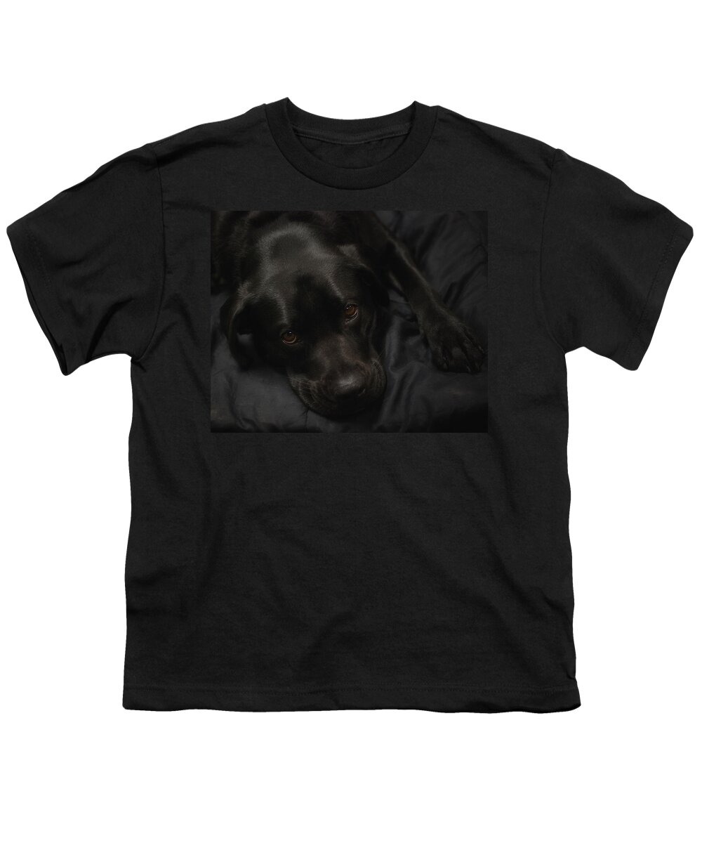 Dogs Youth T-Shirt featuring the photograph The Beauty of Black by Sue Capuano