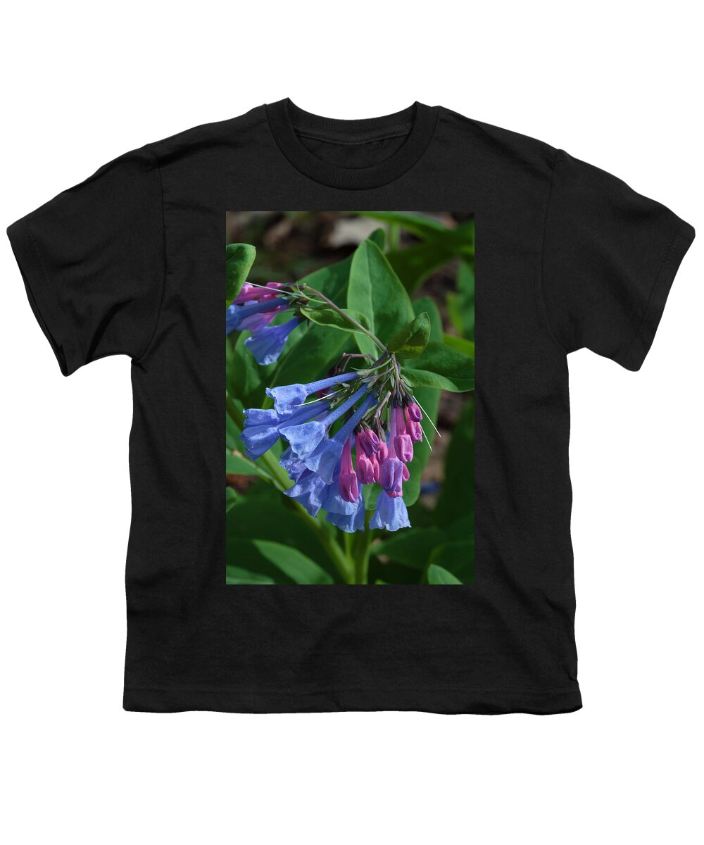 Flower Youth T-Shirt featuring the photograph Virginia Bluebells by Daniel Reed