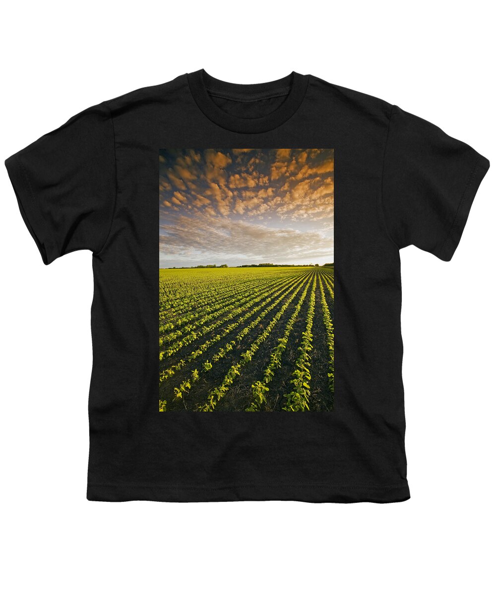 Agribusinesses Youth T-Shirt featuring the photograph Early Growth Soybean Field #1 by Dave Reede