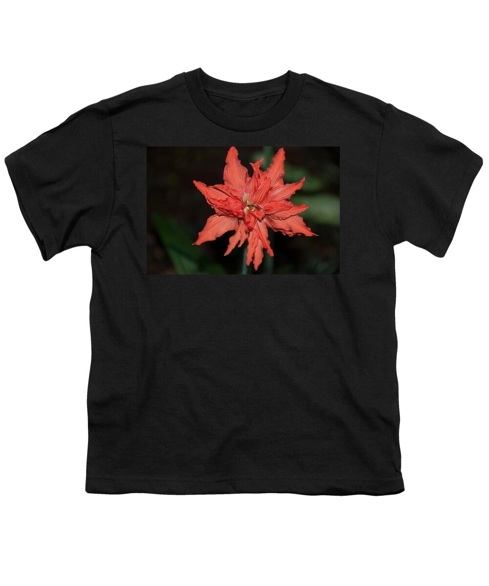 Mexico Yucatan Youth T-Shirt featuring the digital art Hostal Candelaria #1 by Carol Ailles