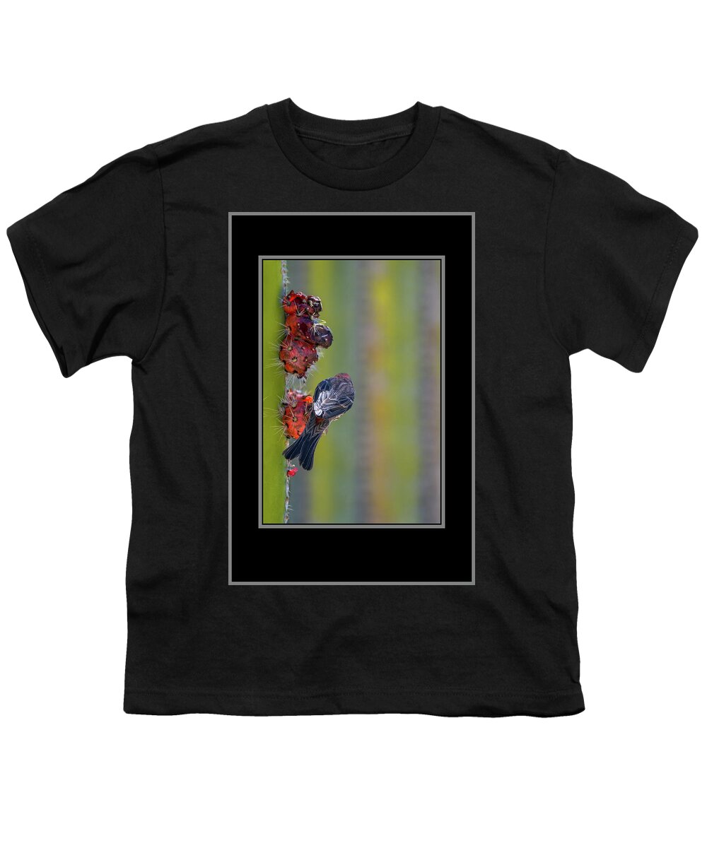Male Youth T-Shirt featuring the photograph Male House Finch 0241-050918-1cr #1 by Tam Ryan