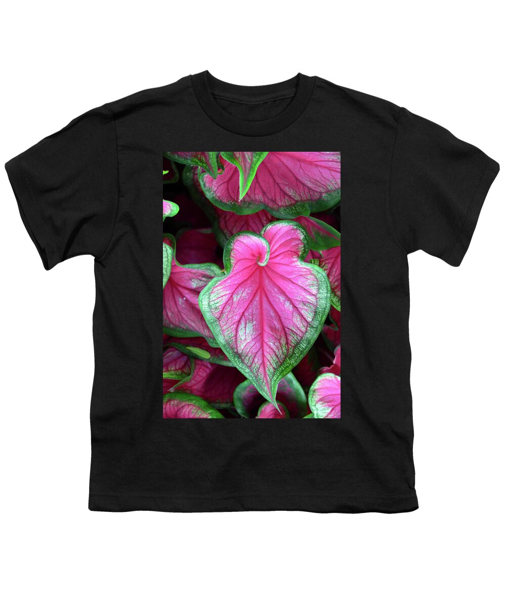 Plant Youth T-Shirt featuring the photograph Plant beauty #1 by David Lee Thompson