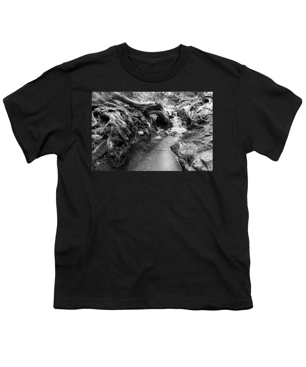 Cascade Youth T-Shirt featuring the photograph Water flowing through tree roots #2 by Michalakis Ppalis