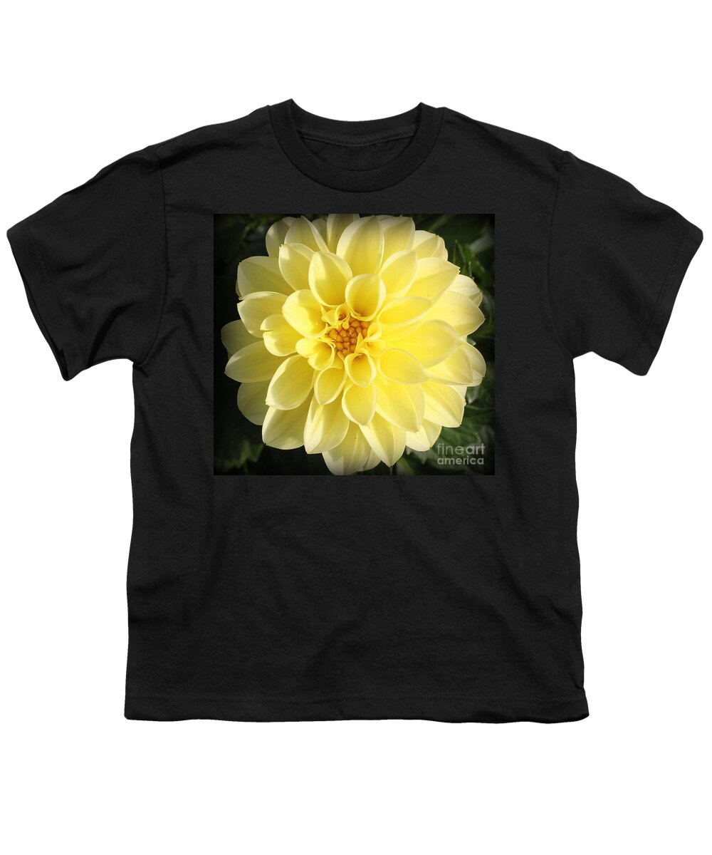 Nature Youth T-Shirt featuring the photograph Glowing Yellow Dahlia #1 by Dora Sofia Caputo