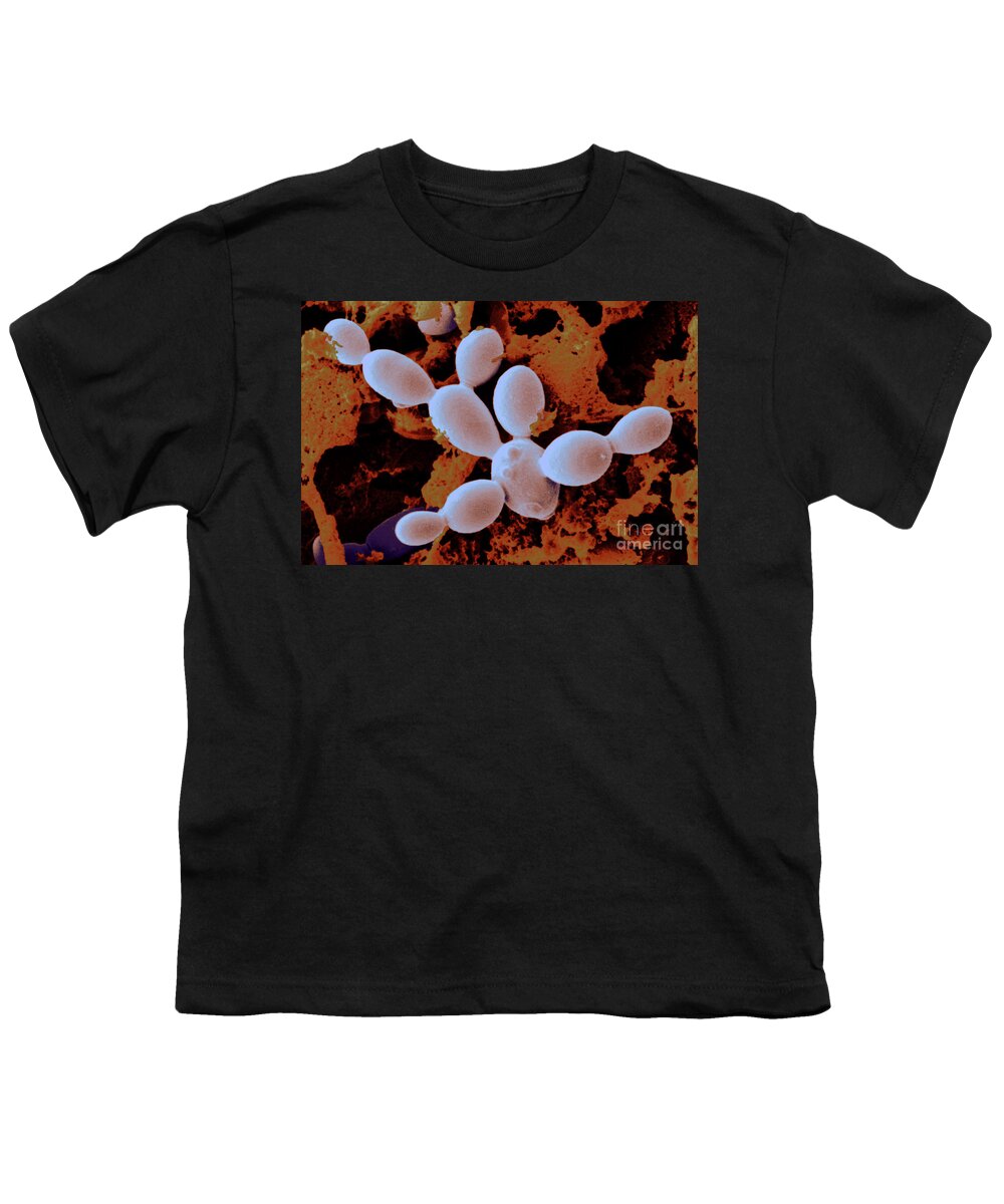 Sem Youth T-Shirt featuring the photograph Yeast Cells #2 by Scimat