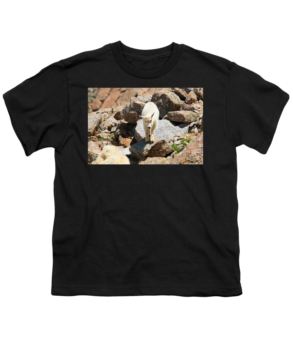 Mount Massive Youth T-Shirt featuring the photograph Hiking the Mount Massive Summit #24 by Steven Krull