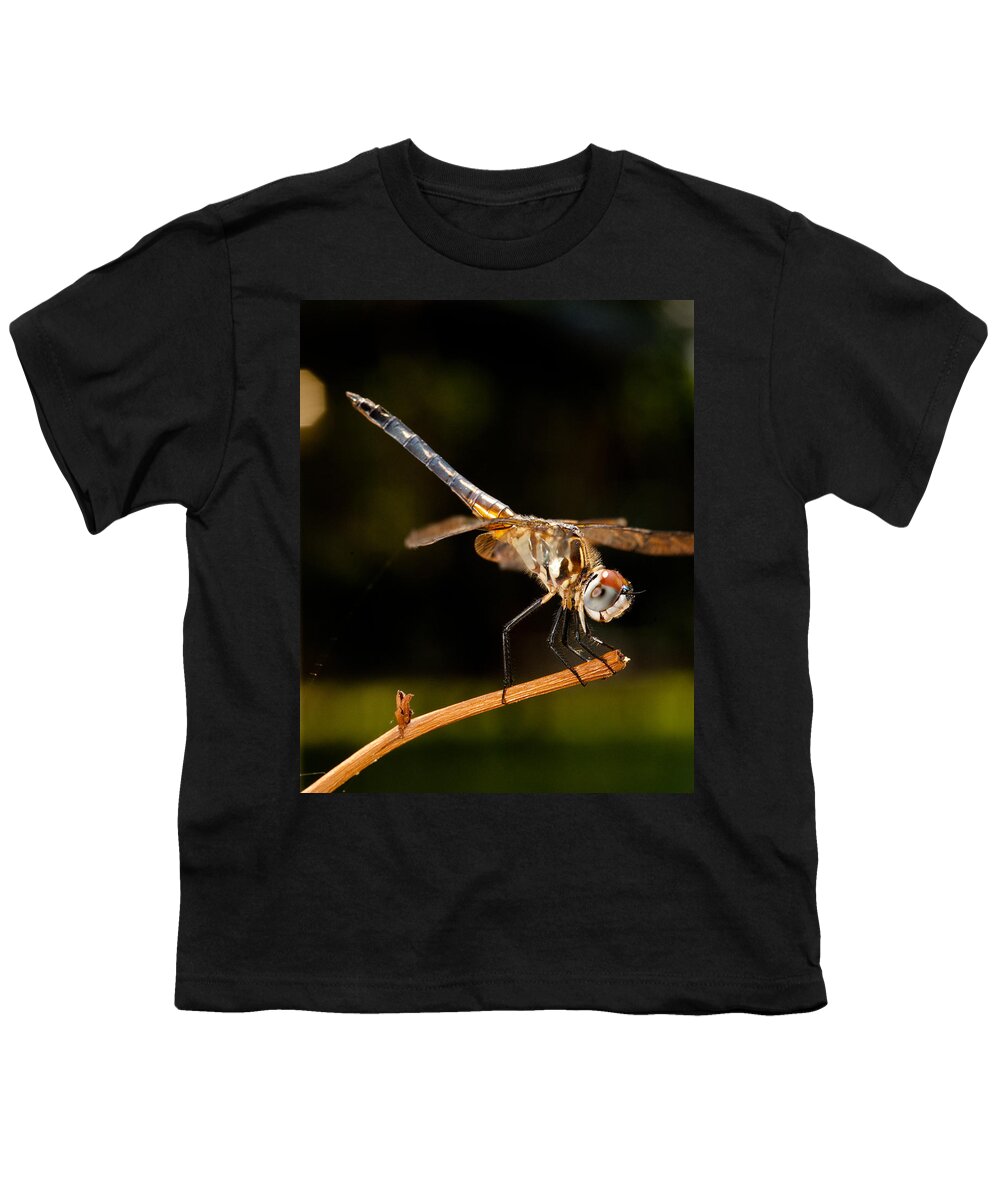 Dragonfly Youth T-Shirt featuring the photograph A Dragonfly by Christopher Holmes
