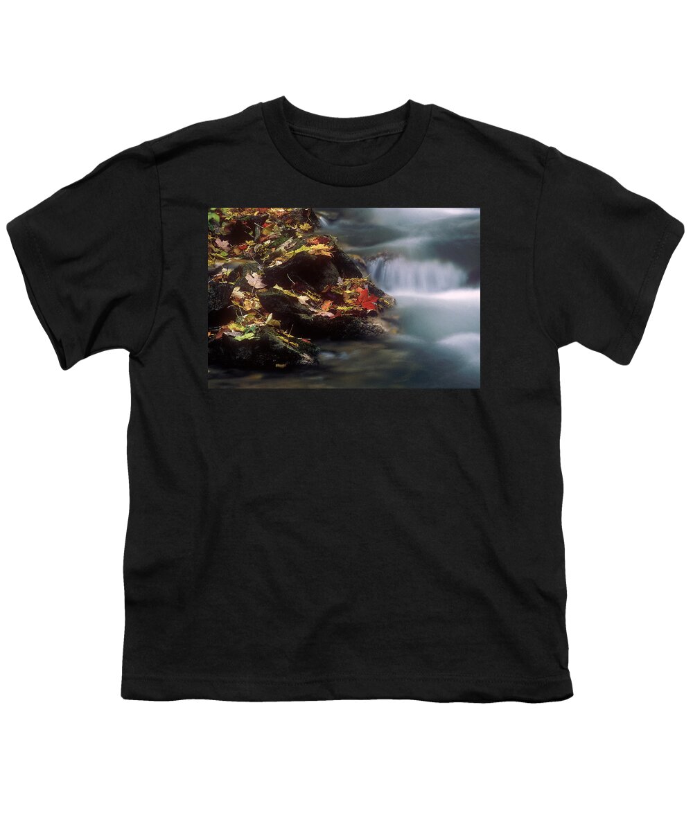 River Youth T-Shirt featuring the photograph A Special Place by DArcy Evans