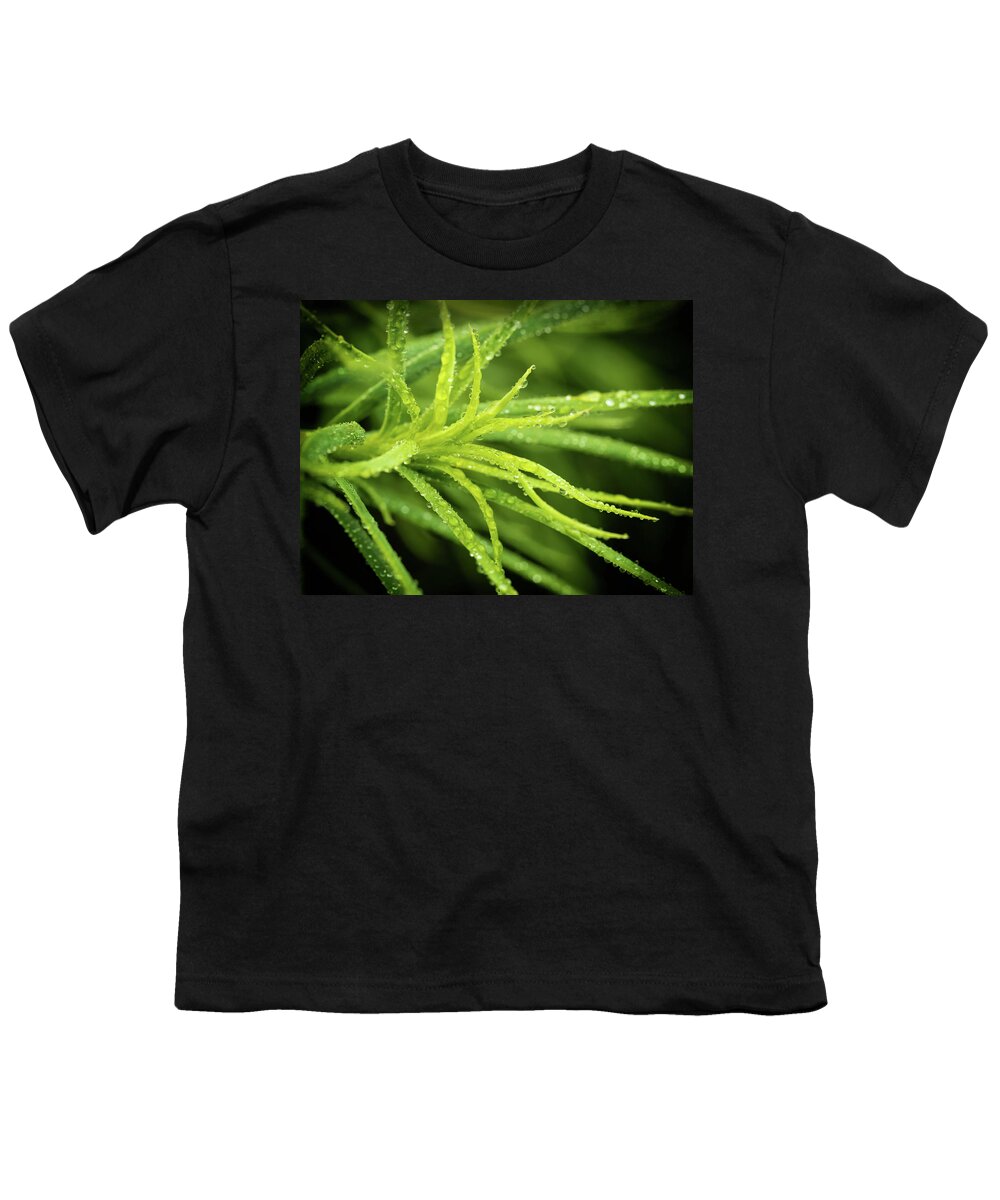 Acacia Youth T-Shirt featuring the photograph Acacia Macro by Nick Bywater
