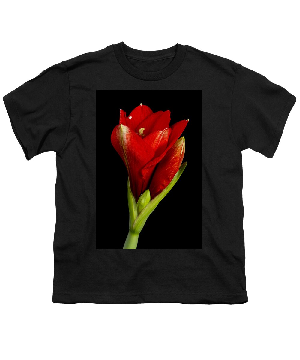 Amaryllis Youth T-Shirt featuring the photograph Amaryllis 12-23-2010 by James BO Insogna