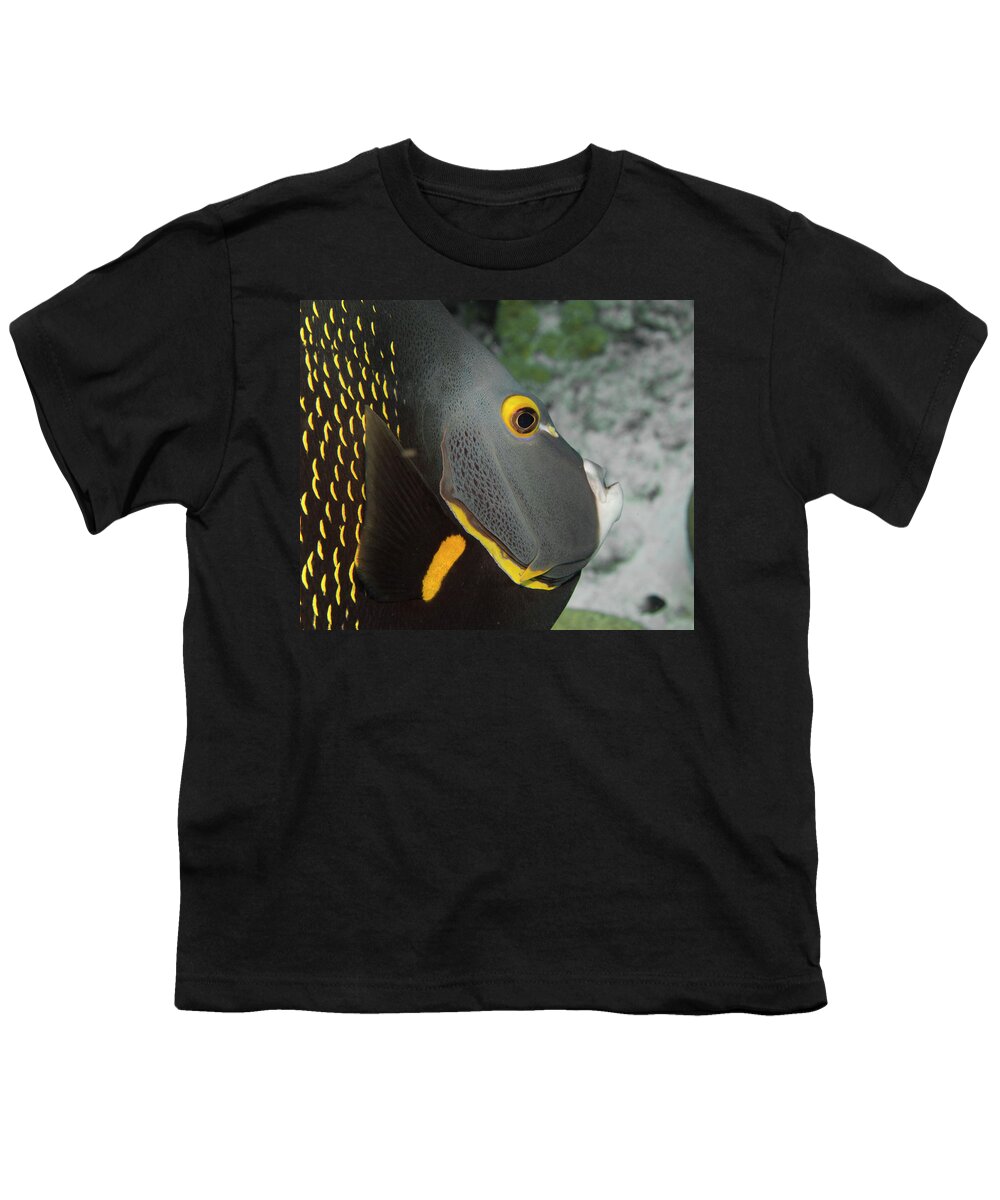 Jean Noren Youth T-Shirt featuring the photograph Angel Fish Profile by Jean Noren