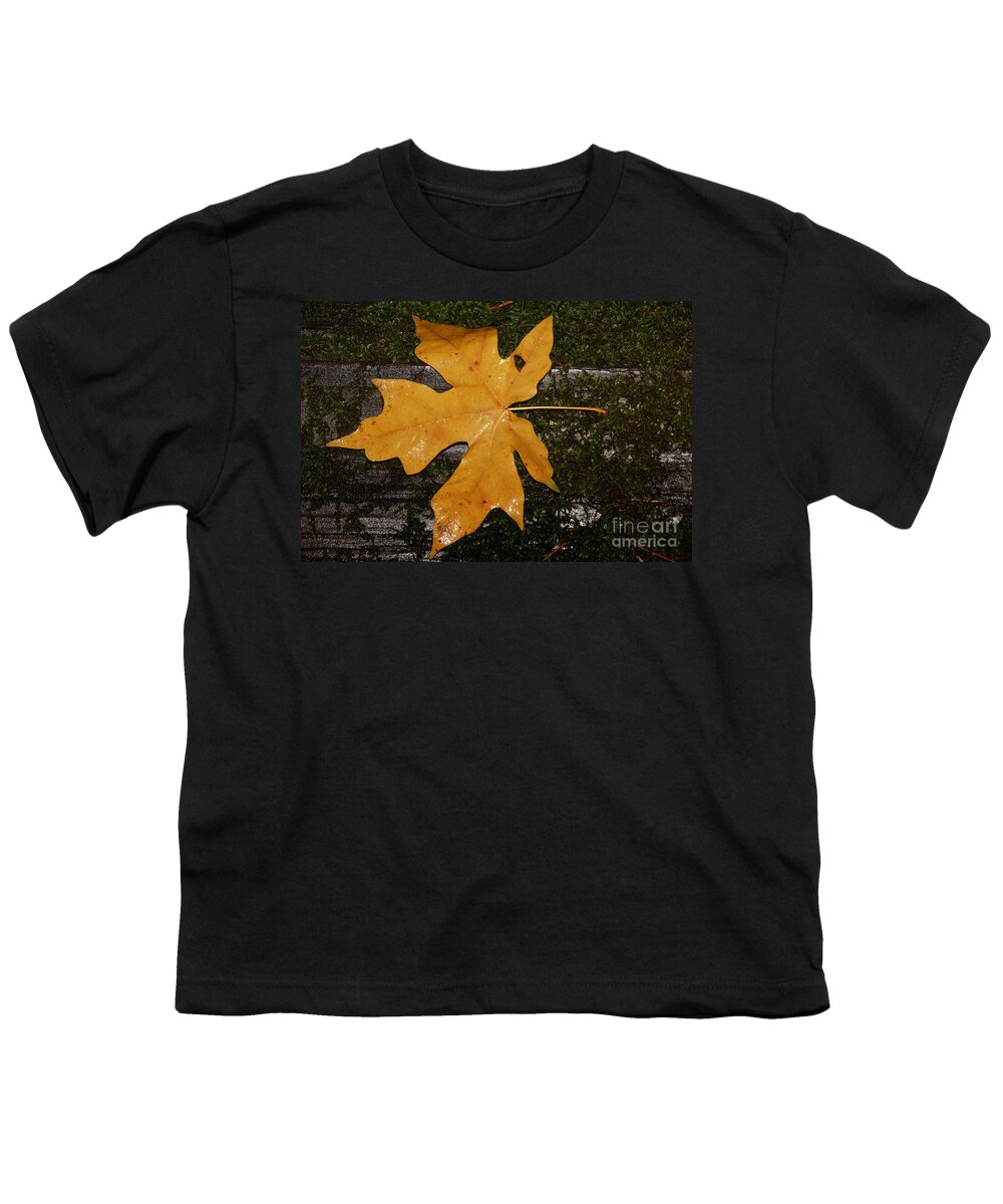 Armstrong Woods Youth T-Shirt featuring the photograph Armstrong Woods, Sonoma County, California by Wernher Krutein