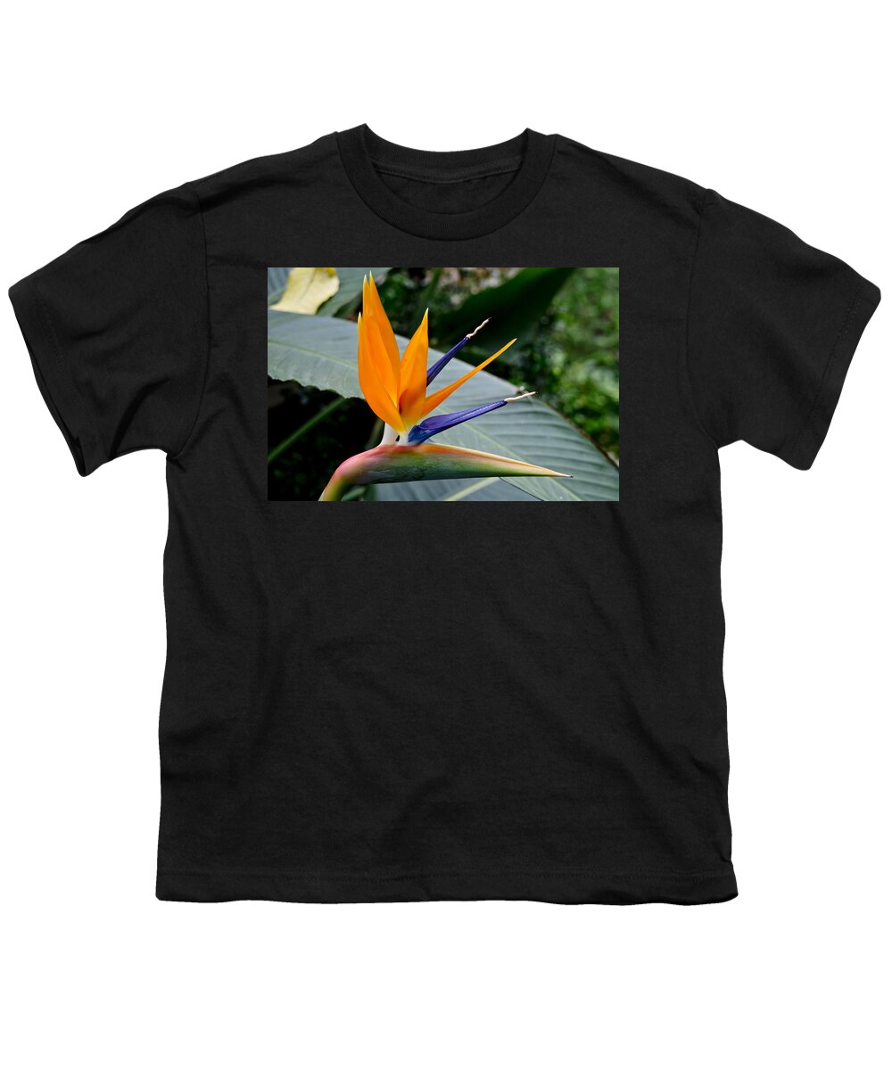 Exotic Flower Youth T-Shirt featuring the photograph Audacious by Elena Perelman