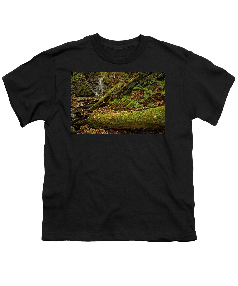 Waterfall Youth T-Shirt featuring the photograph Autumn Mossy Glen by Irwin Barrett