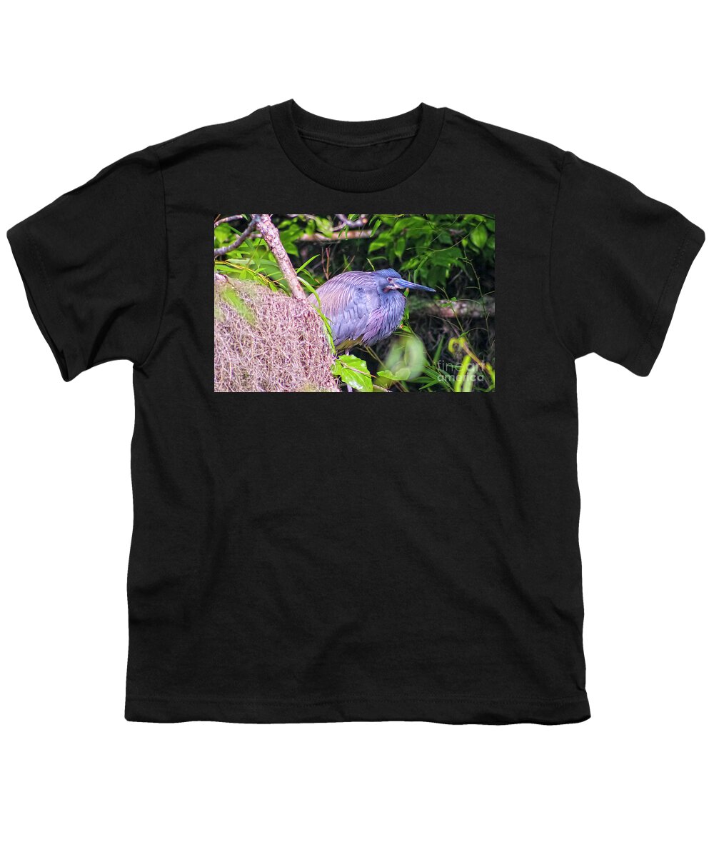 Nature Youth T-Shirt featuring the photograph Baby Great Blue Heron - Ardea Herodias by DB Hayes