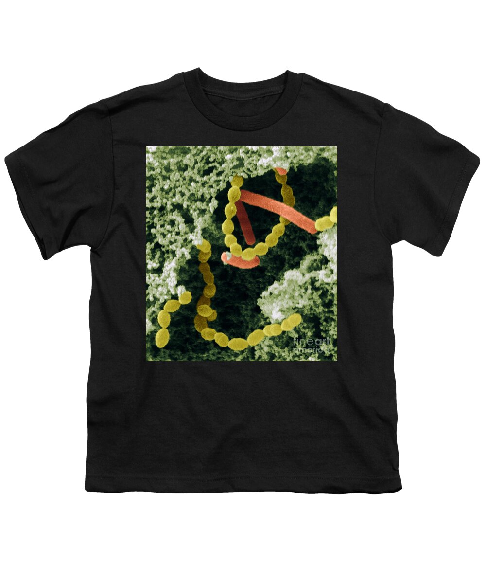 Bacteria Youth T-Shirt featuring the photograph Bacteria In Yogurt by Scimat