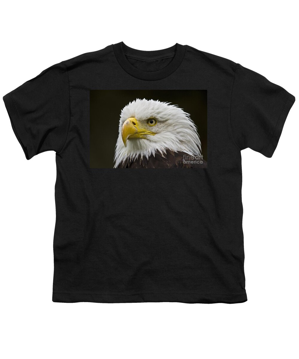 Eagle Youth T-Shirt featuring the photograph Bald Eagle - 6 by Heiko Koehrer-Wagner