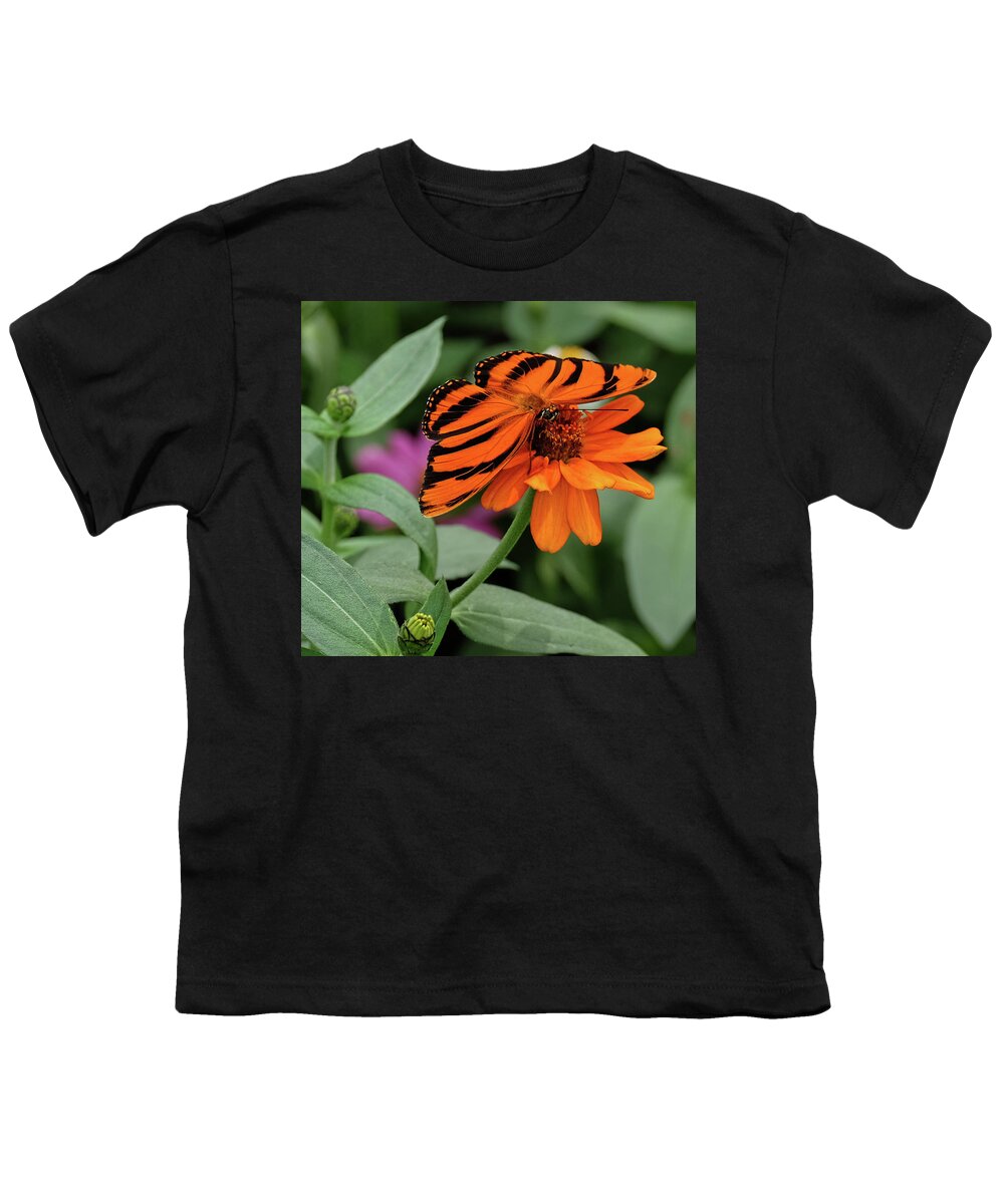 Banded Orange Butterfly Youth T-Shirt featuring the photograph Banded Orange Butterfly by Ronda Ryan