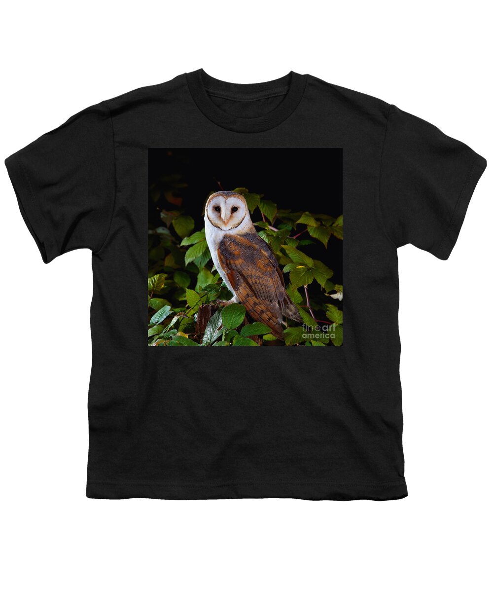 Barn Owl Youth T-Shirt featuring the photograph Barn Owl by Manfred Danegger