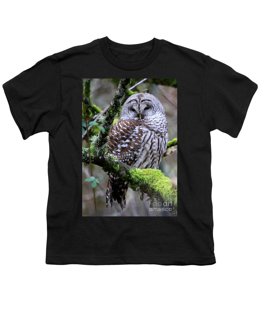 Owl Youth T-Shirt featuring the photograph Barred Owl in Tree by Nick Gustafson