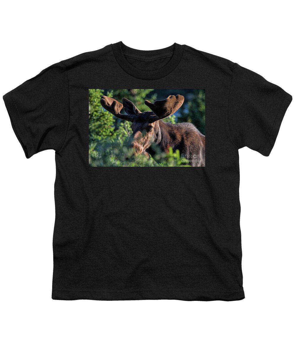 Moose Youth T-Shirt featuring the photograph Bashful by Jim Garrison