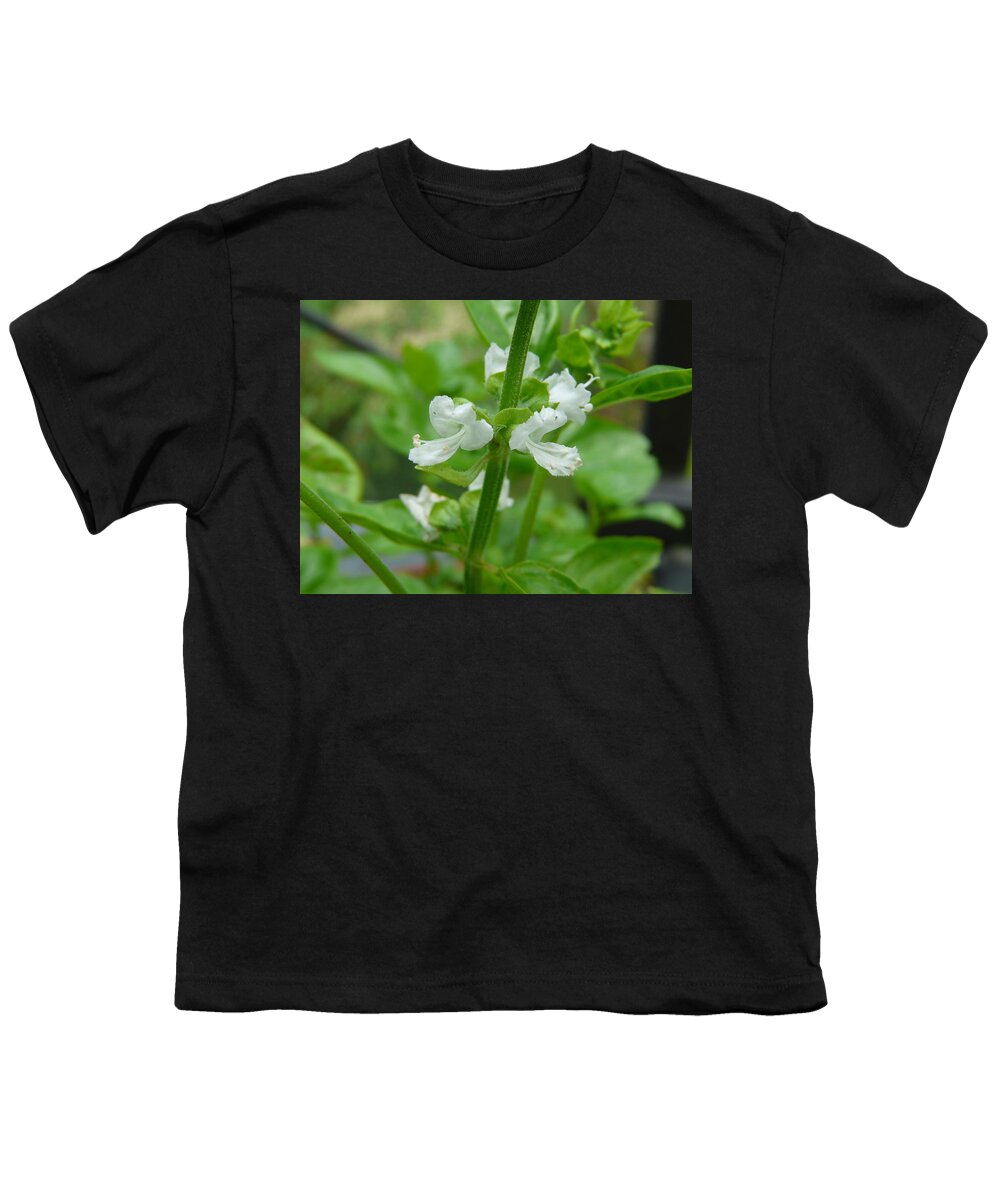 Plant Youth T-Shirt featuring the photograph Basil Blossom by Valerie Ornstein