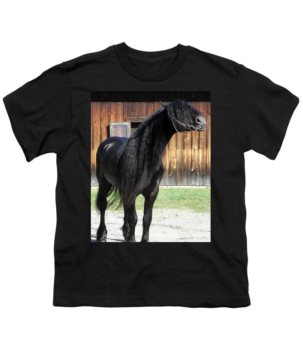 Friesian Horse Youth T-Shirt featuring the photograph Beauty Posing by Kim Galluzzo